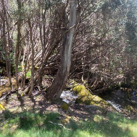 Ramshead Creek 3 - Thredbo Lejlighed Eksteriør billede