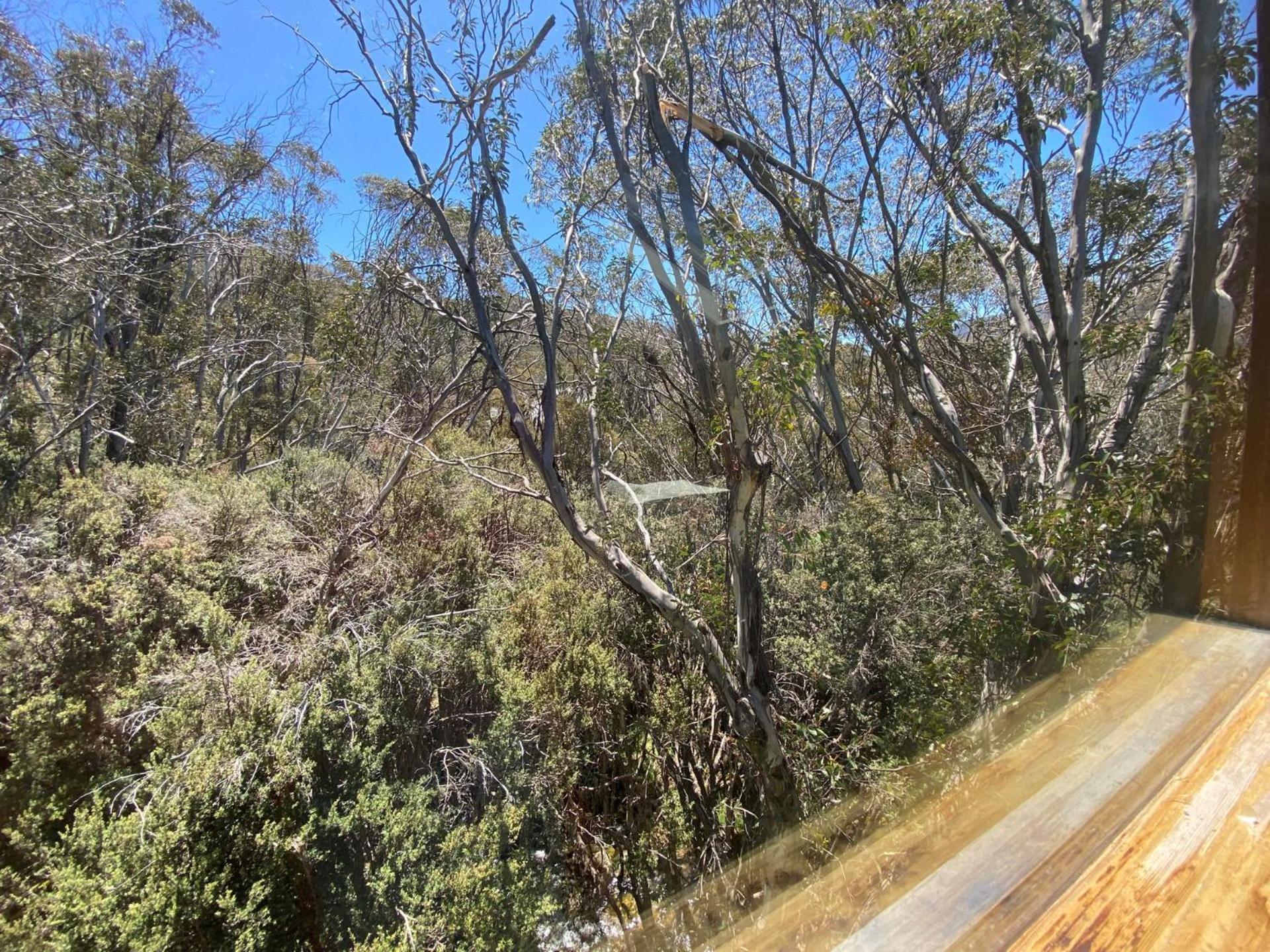 Ramshead Creek 3 - Thredbo Lejlighed Eksteriør billede